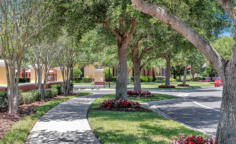 Winter Garden Living 