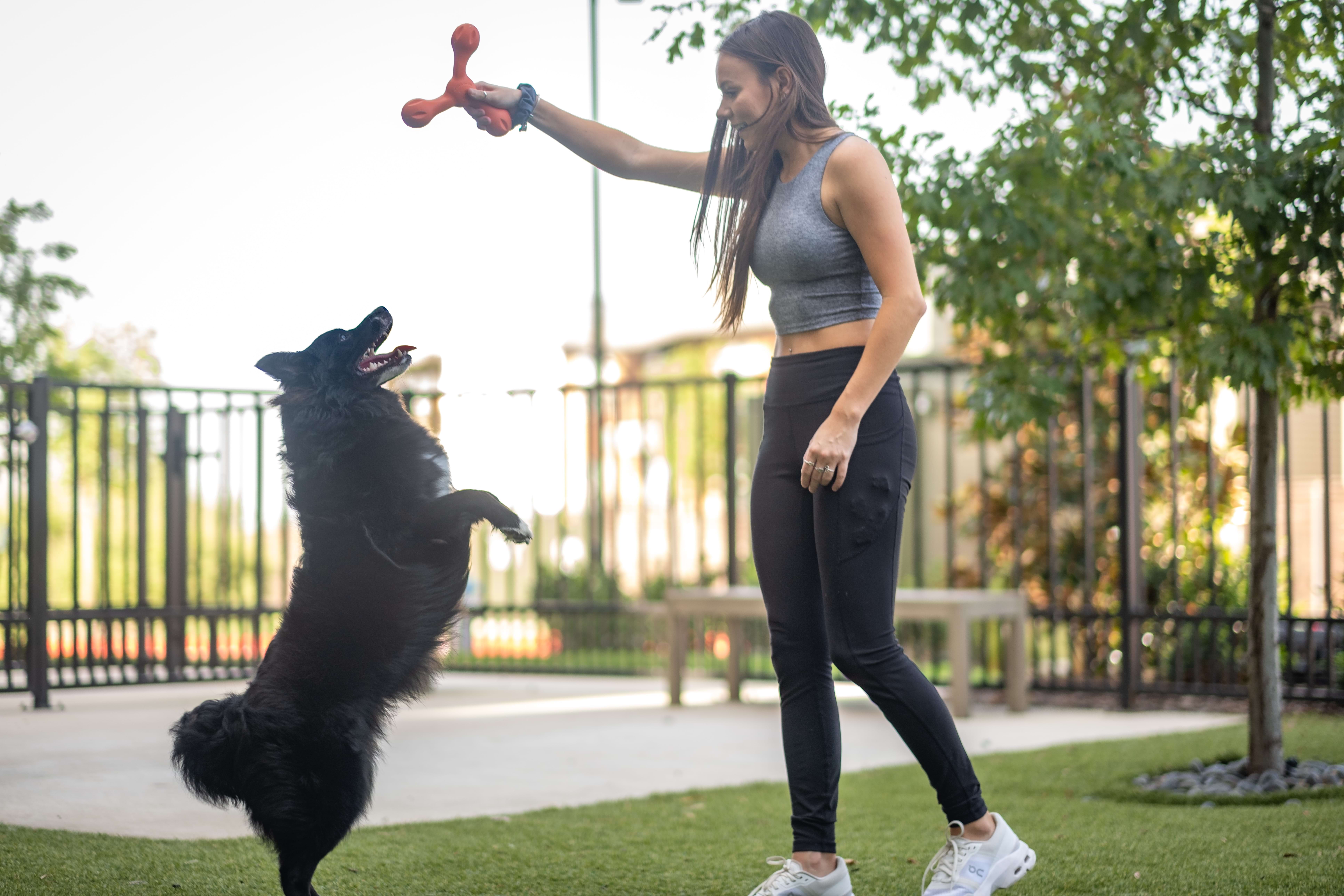 Discover Cortland Living in Tampa Bay
