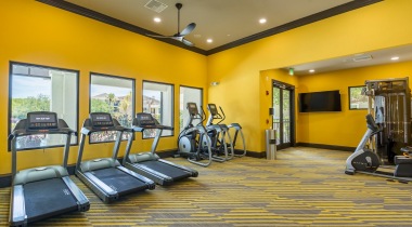 Spacious Fitness Center with Cardio Equipment at Our Apartments in St. Pete, FL