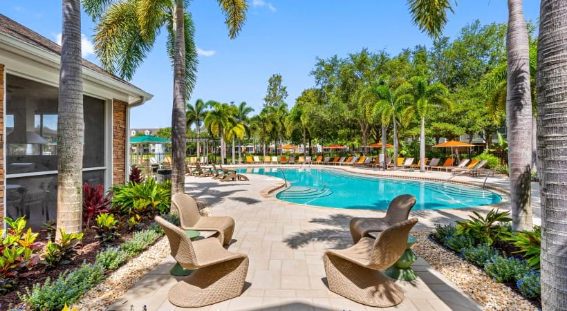 Resort-Style Pool at Our Hillsborough County Apartments