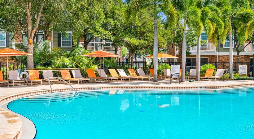 Resort-Style Pool at Our University of South Florida Apartments