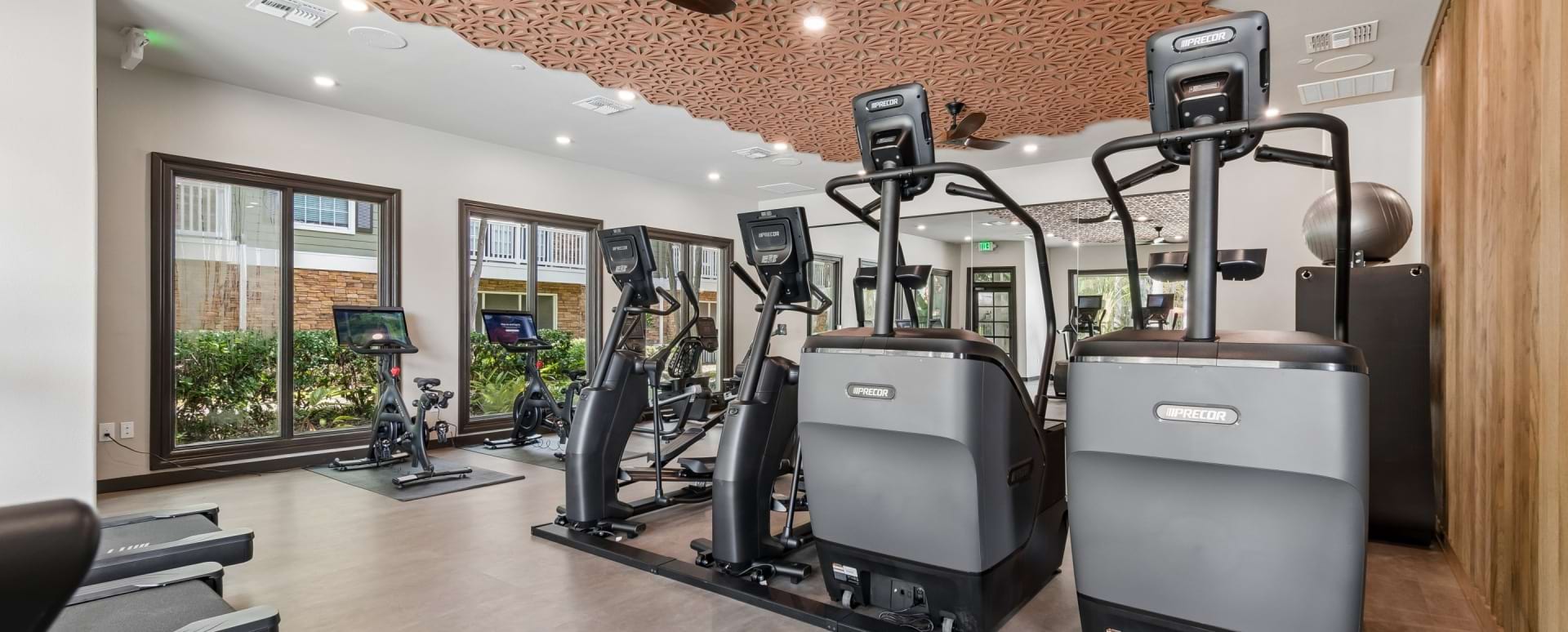 Newly Renovated 24/7 Fitness Center at Our Tampa Apartments Near USF