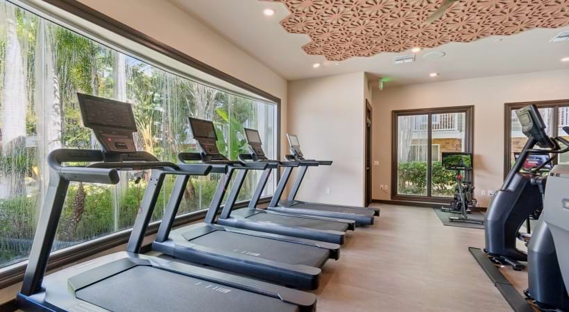 Newly Renovated 24/7 Fitness Center at Cortland Lakecrest 