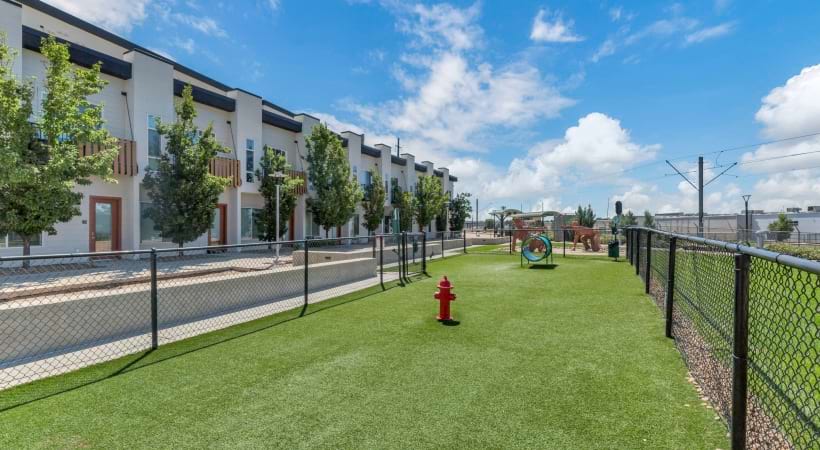 Leash-Free Bark Park