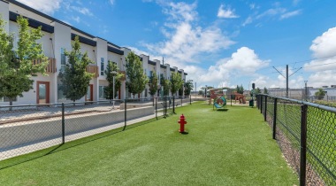 Leash-Free Bark Park