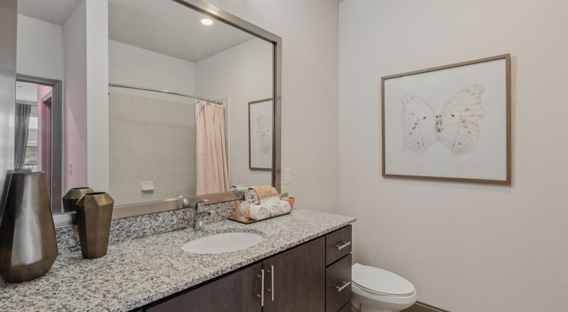 Sleek Granite Countertops at Cortland Hunter's Creek