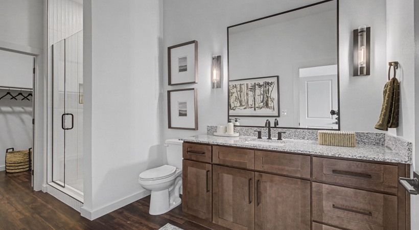 Walk-In Showers with Rainfall Showerheads 