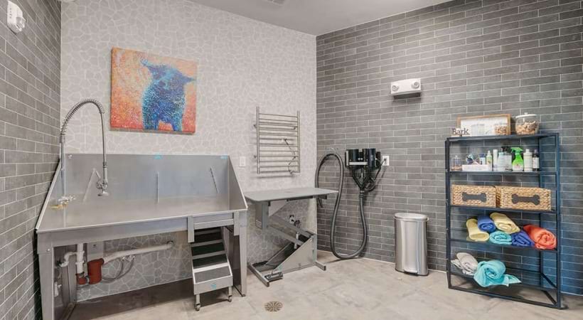 Dog Grooming Spa at Our Pet Friendly Apartments in Allen, TX