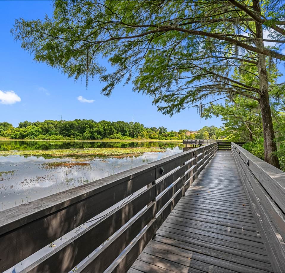 Boardwalk overlooking Mirror Lake at Cortland Mirror Lake