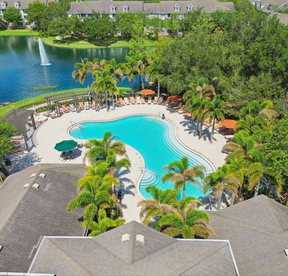 Resort-Style Pool at Our Uptown Tampa Apartments