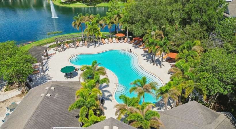 Resort-Style Pool and Sun Deck at our apartments for rent near USF
