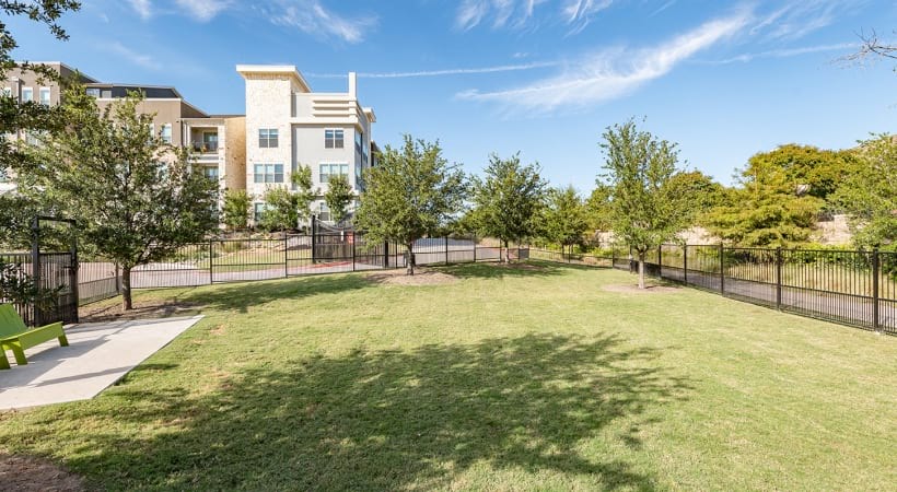 Leash-Free Bark Park at Our Pet-Friendly Apartments in Allen