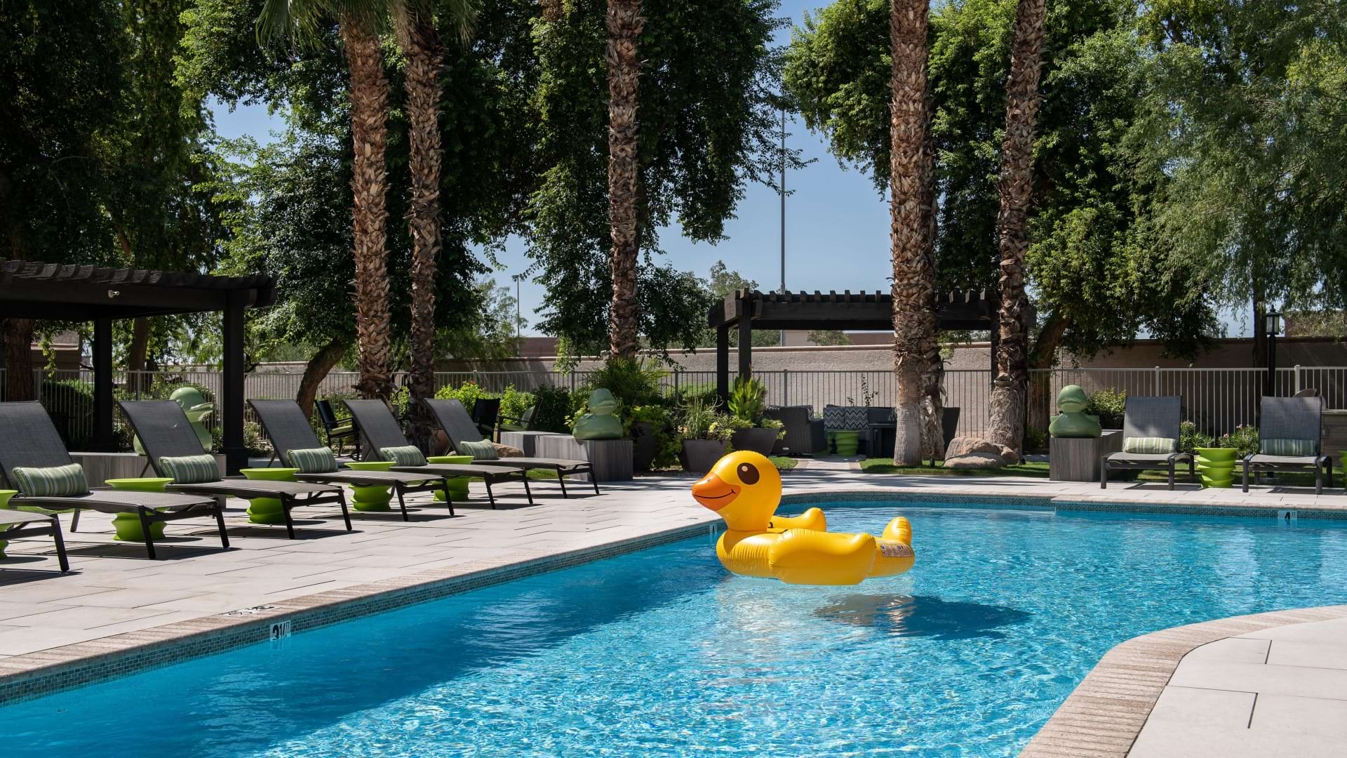 Newly Renovated Pool at Our Luxury Apartments in Glendale, AZ