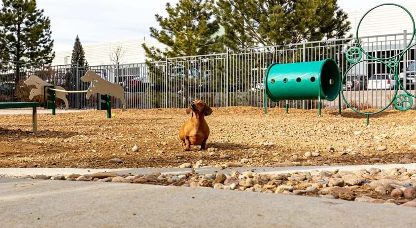 Leash-Free Bark Park with Playground