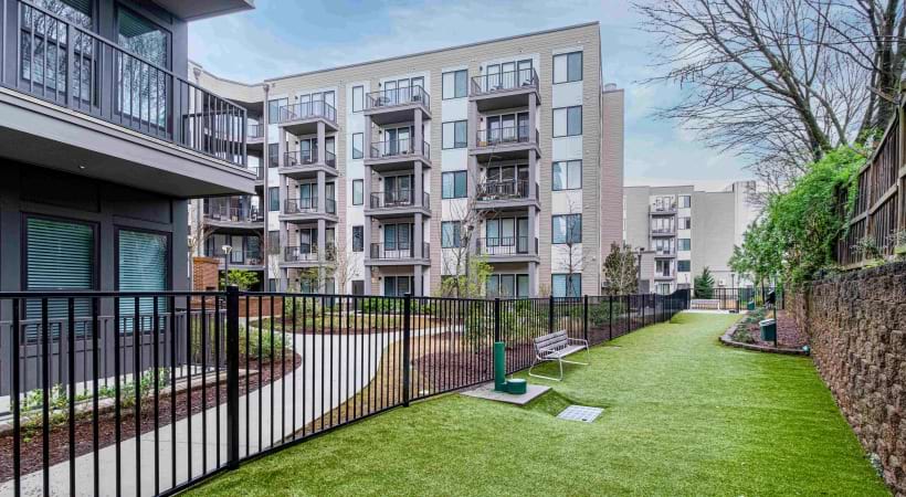 Leash-Free Bark Park at Our Pet-Friendly Apartments in Brookhaven, GA