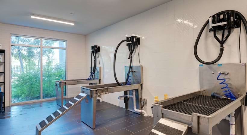 Dog Grooming Station at Cortland Satori 