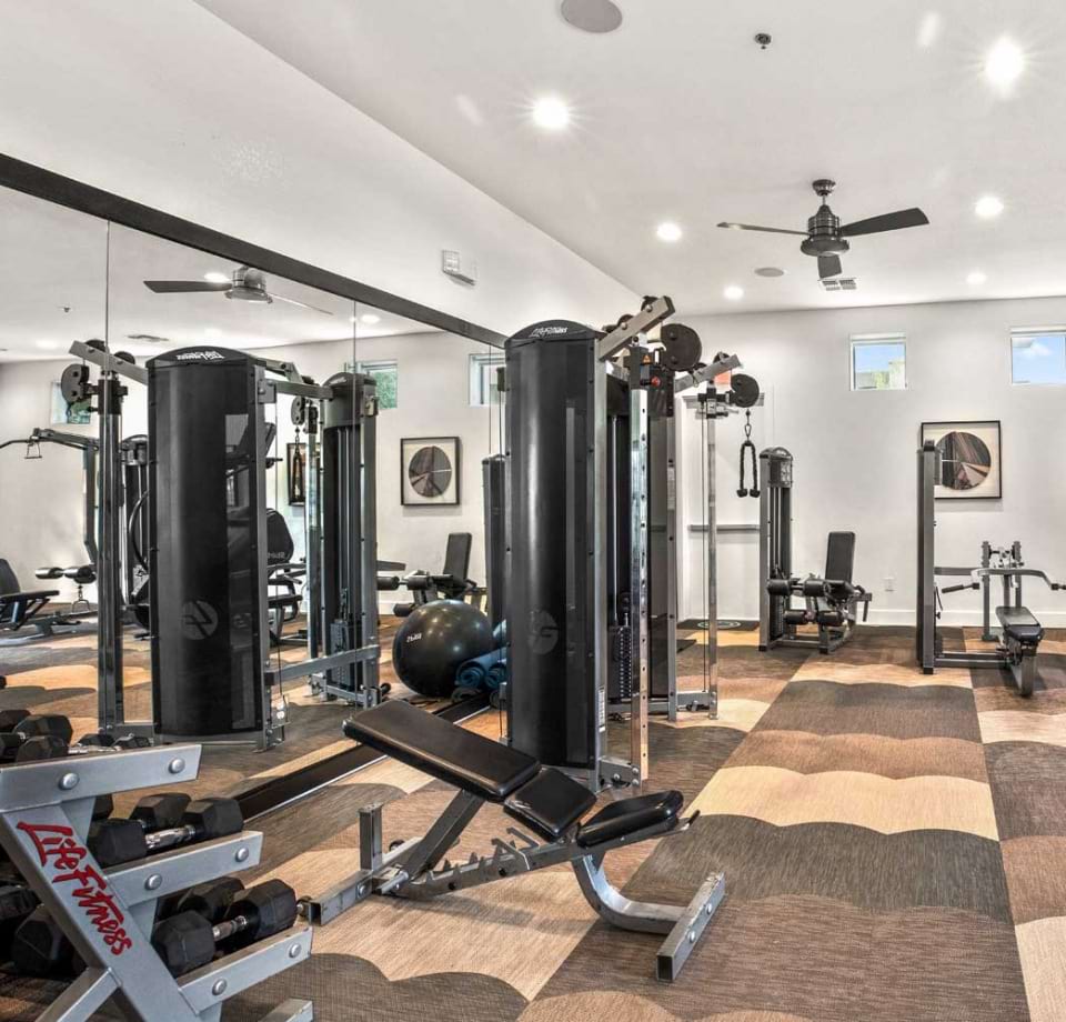 Modern Apartment Amenities | Cortland South Mountain