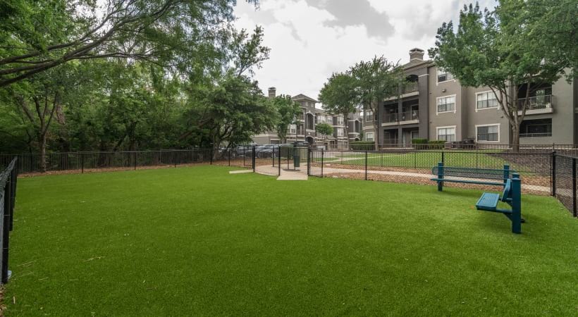 Leash-Free Bark Park