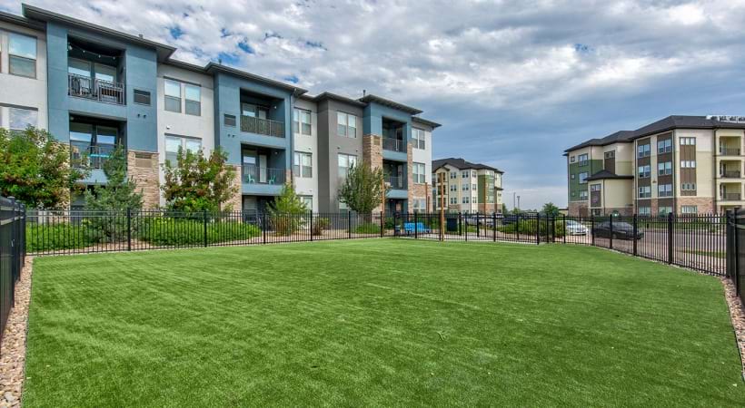 Leash-Free Bark Park