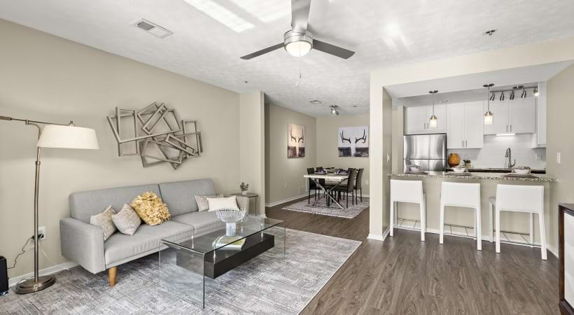 Modern Living Room at Our Apartments in Smyrna
