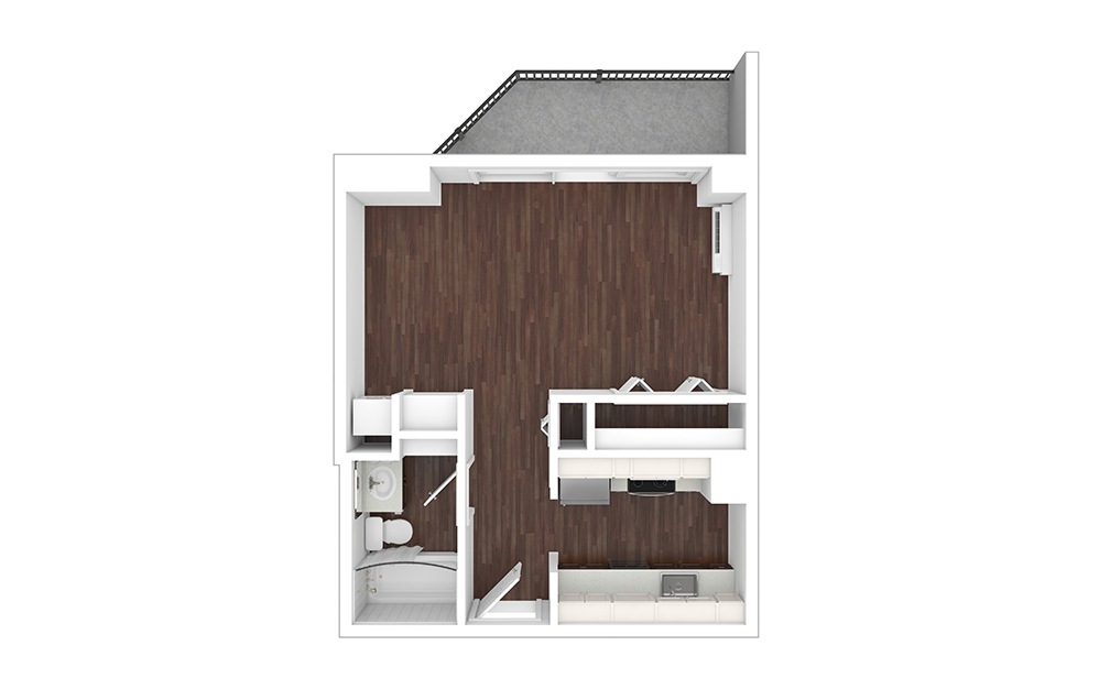 S1 - Renovated Studio 1 bath 458 square feet (1)