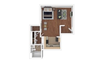 Alcova Studio 1 bath 538 square feet