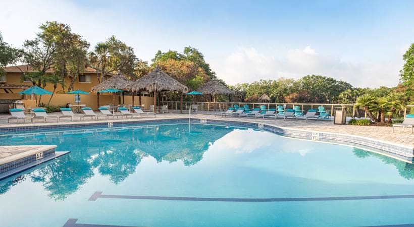 Resort-Style Pool at Our Apartments for Rent in Town N Country