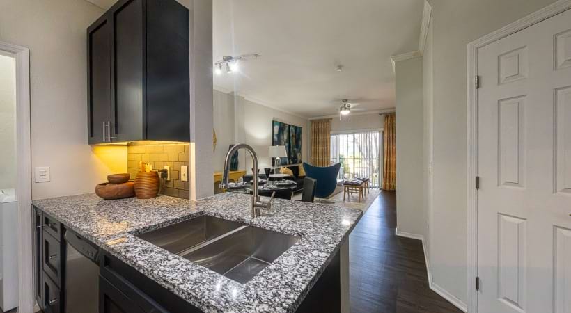 Undermount Sinks with Gooseneck Faucets at Cortland Brighton Bay
