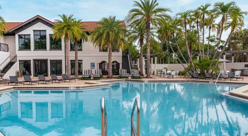 Resort-Style Pool at Our Apartments in Town N Country, Tampa