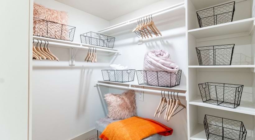 Our Phipps Plaza Apartments with Spacious Walk-In Closets