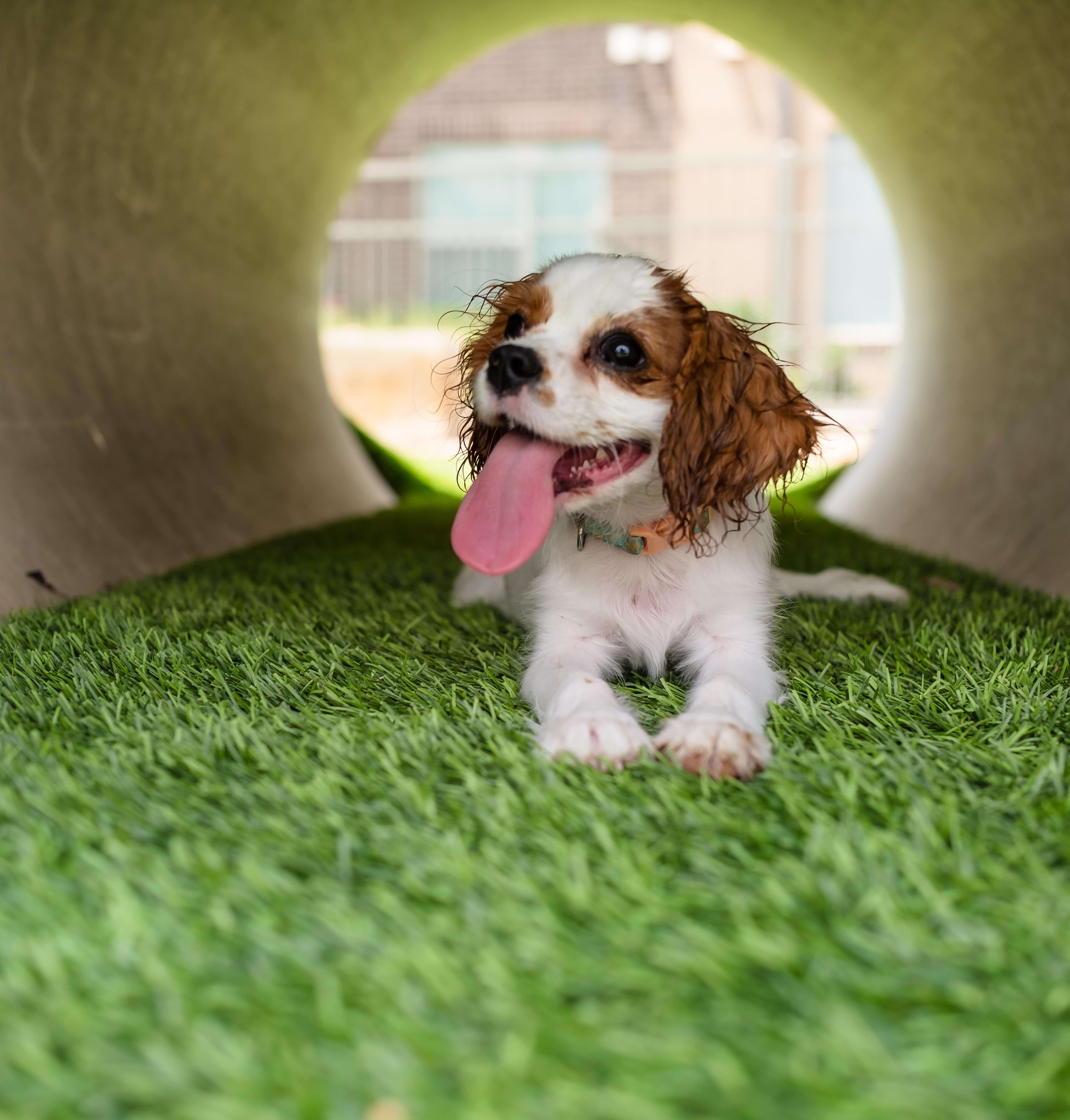 Come Home to Luxury in Buckhead Village Image 1