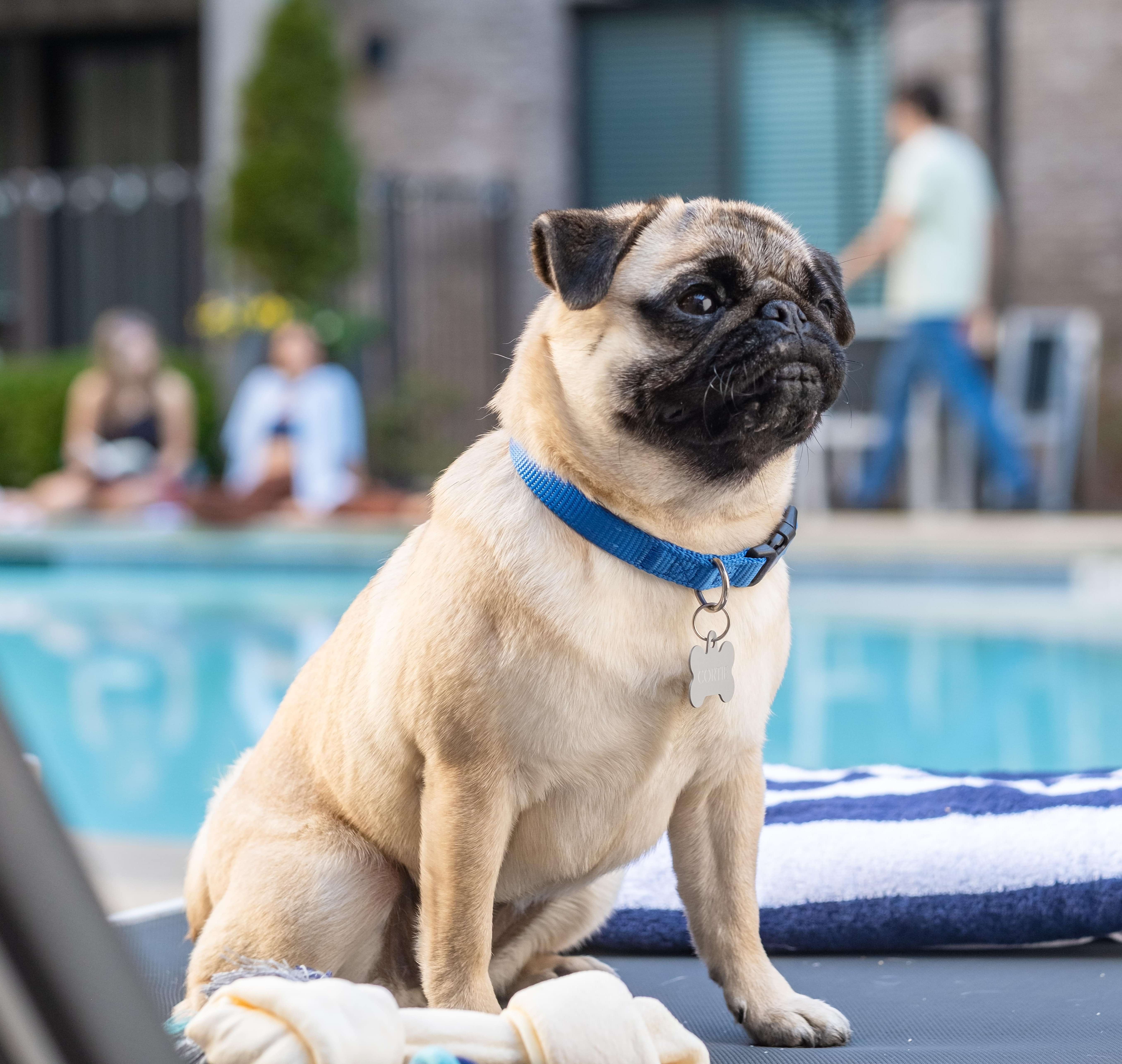 What We Offer Image 0