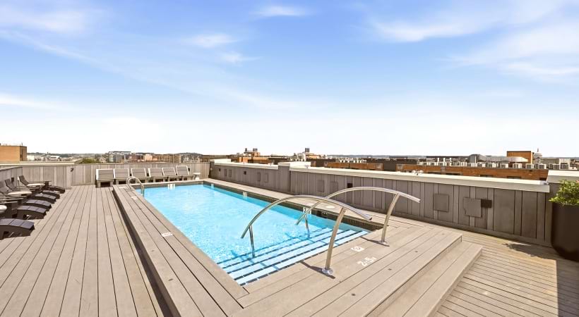 Rooftop Pool