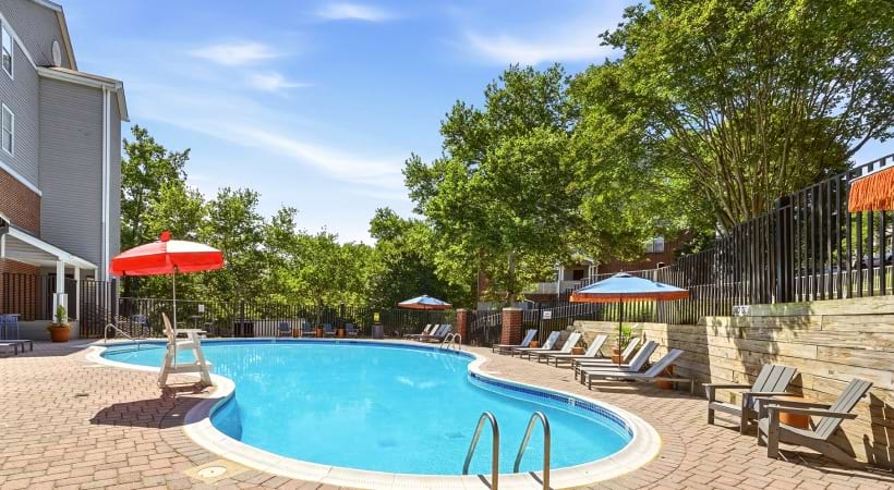 Sparkling, Resort-Style Pool and Lounge Area at Cortland Van Dorn