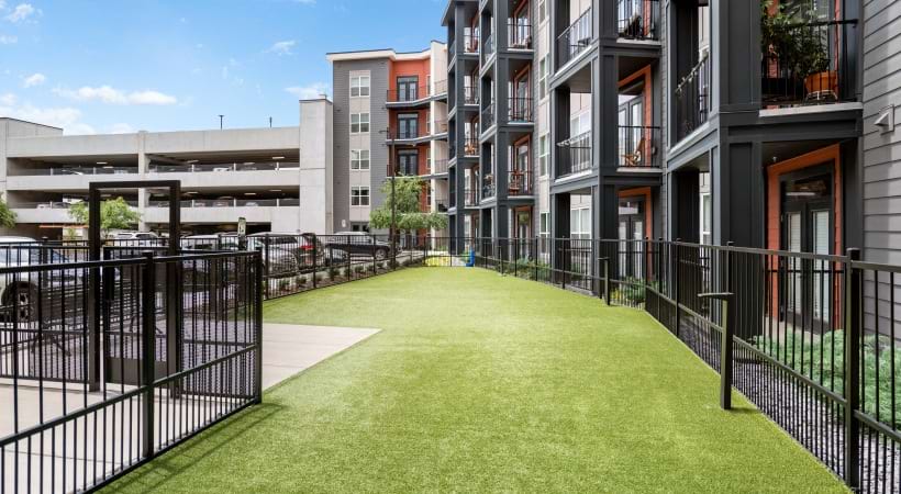 Leash-Free Bark Park