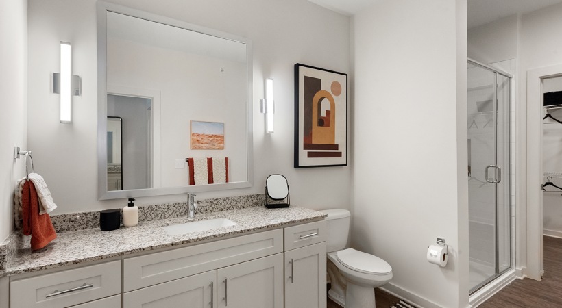 Walk-In Showers with Rainfall Showerheads 