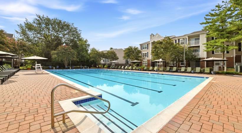 Resort-Style Pool and Sun Deck with Lounge Chairs at Our Apartments in Clifton, VA