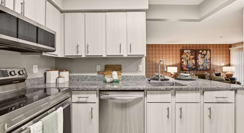 Energy-Efficient, Stainless Steel Appliances