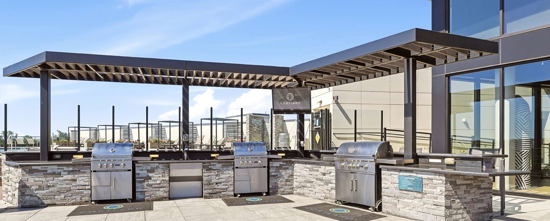 Rooftop Lounge with Gas Grills at Our Columbia Pike Apartments for Rent