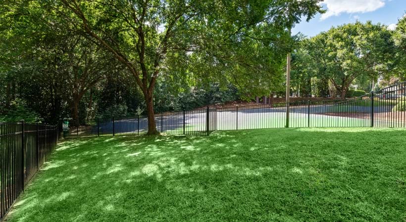 Leash-Free Bark Park at Our Apartments for Rent in Wake County, NC