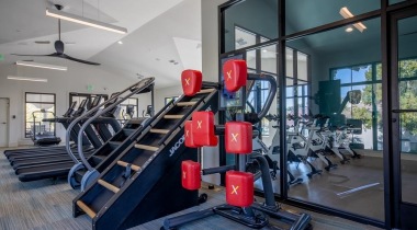 Fitness Center at Our Tampa Bay Apartments 