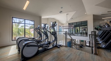 Fitness Center at Our Upscale Apartments in the Tampa Bay Area