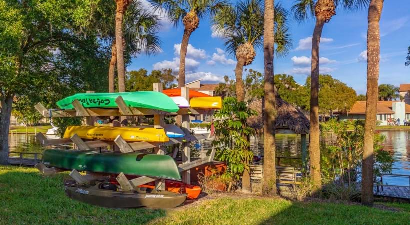 Kayaks at Our International Plaza Apartments in Tampa