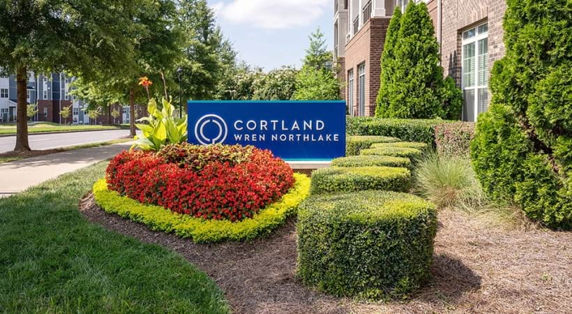Cortland Wren Northlake