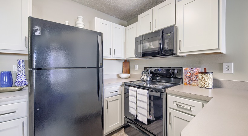Energy-Efficient, Black Appliances at Our Apartments off Tussing Road
