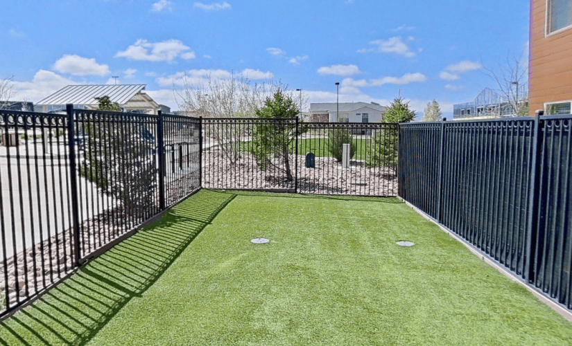 Bark Park