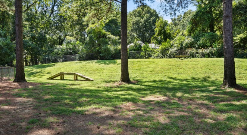 Leash-Free Bark Park at Our Apartments in South Charlotte, NC