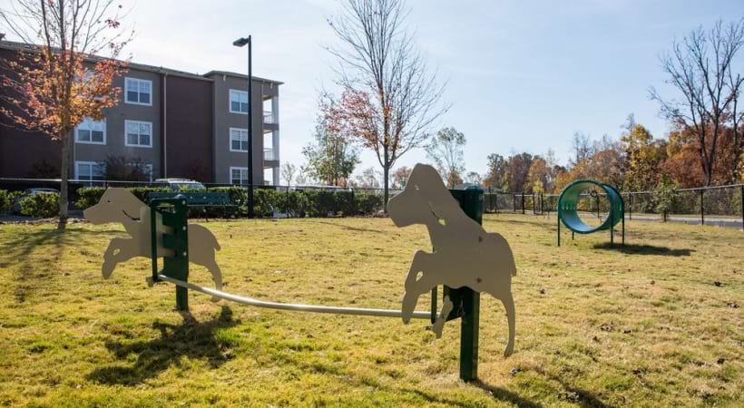 Dog Park at Our University City Apartments in Charlotte, NC