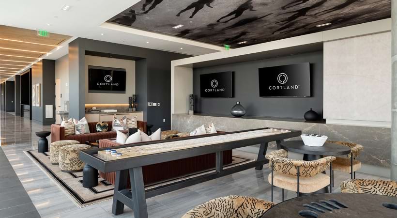Game Space in the Resident Lounge at Our Apartments Near Hermann Park in Houston