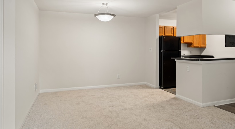 Granite-Style Countertops